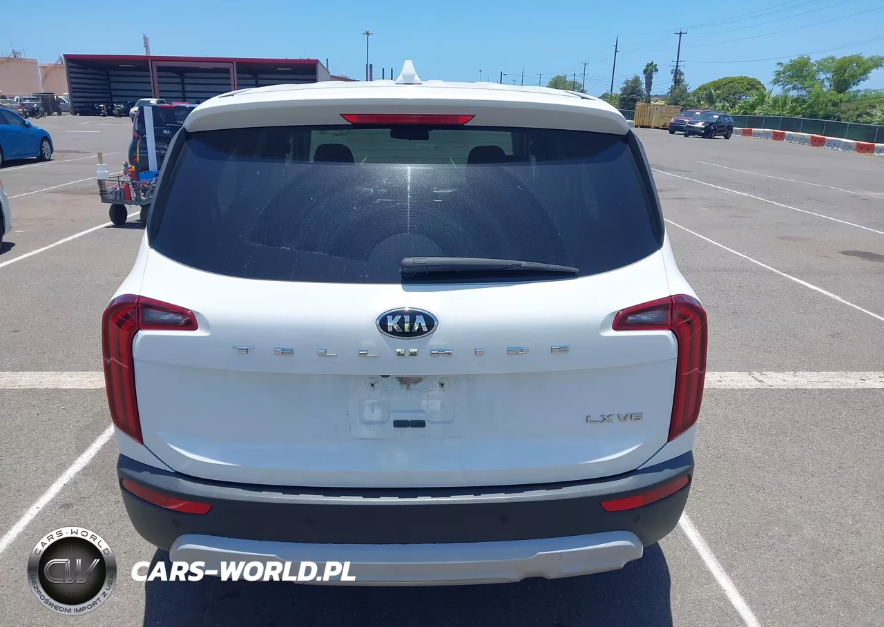2020 Kia Telluride Lx VIN:5XYP24HC1LG011375 - 17