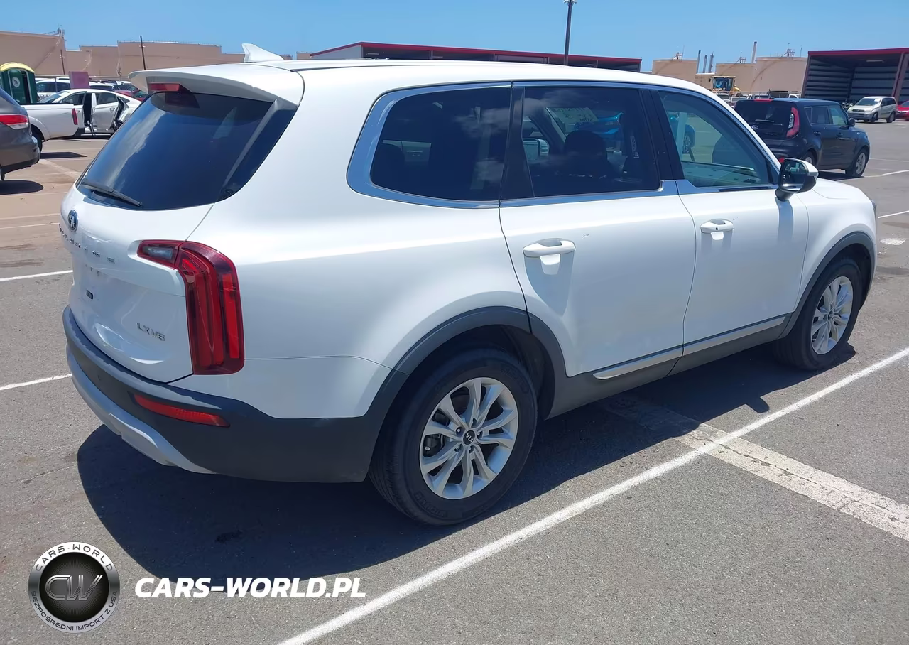2020 Kia Telluride Lx VIN:5XYP24HC1LG011375 - 4