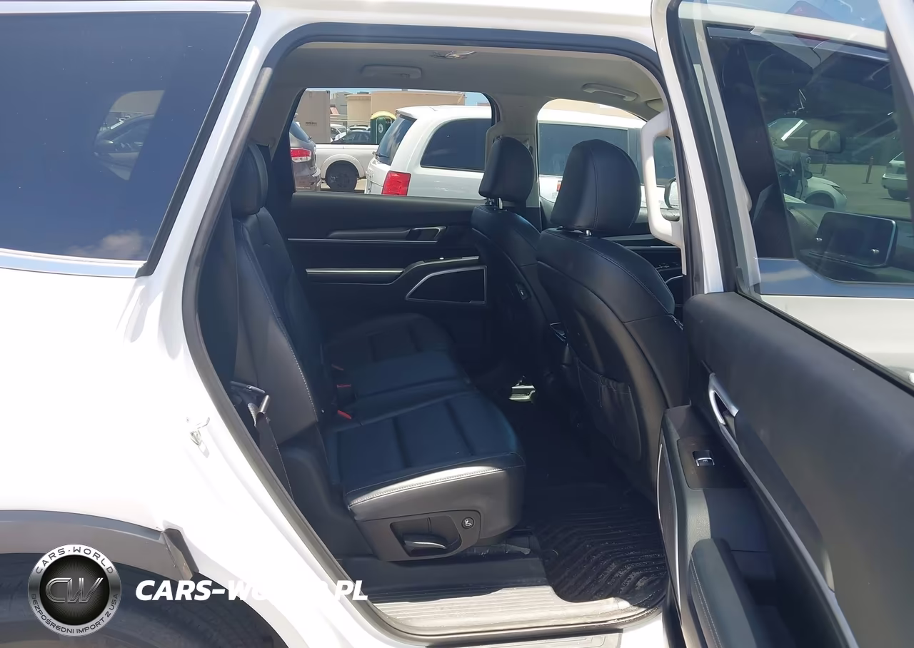 2020 Kia Telluride Lx VIN:5XYP24HC1LG011375 - 8