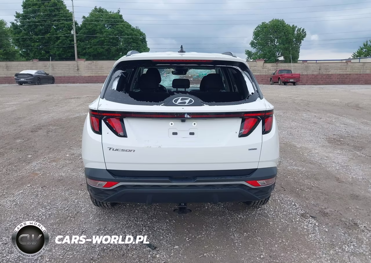 2024 Hyundai Tucson Sel VIN:5NMJBCDE4RH342795 - 16