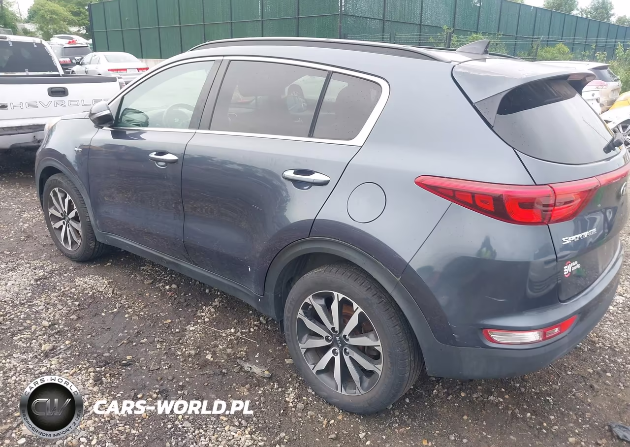 2019 Kia Sportage Ex VIN:KNDPNCAC1K7519367 - 3
