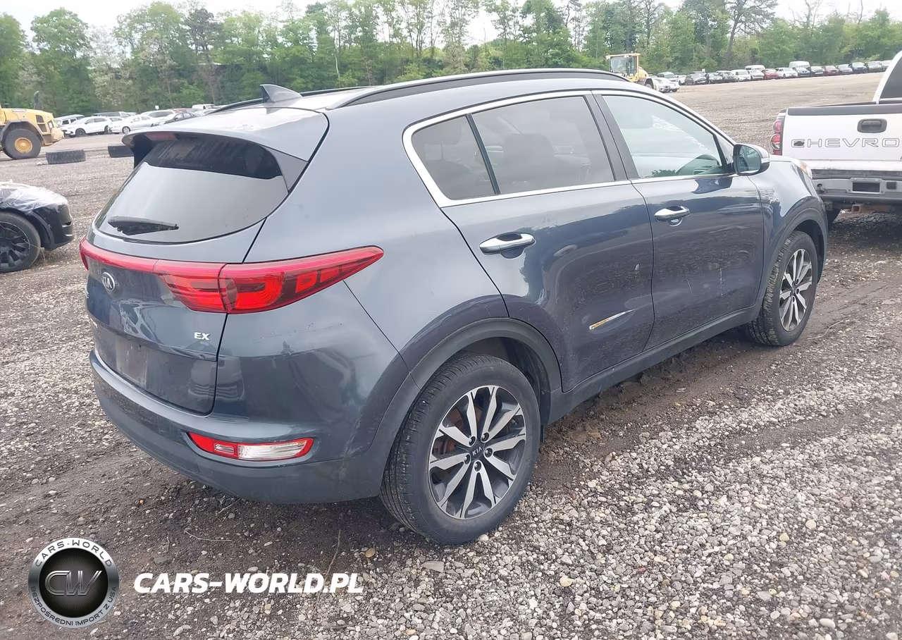 2019 Kia Sportage Ex VIN:KNDPNCAC1K7519367 - 4