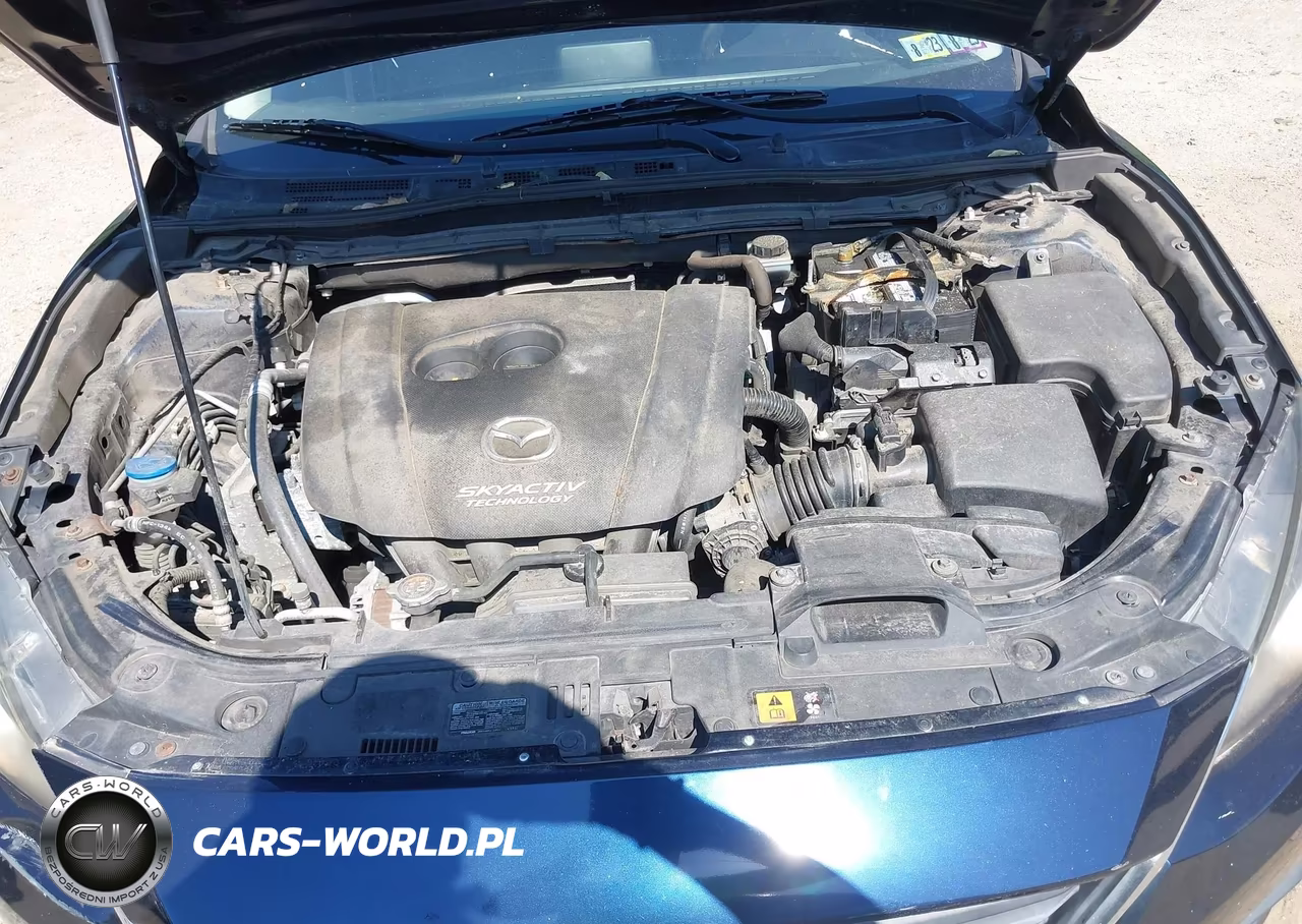 2015 Mazda Mazda3 I Sport VIN:JM1BM1K78F1269914 - 10