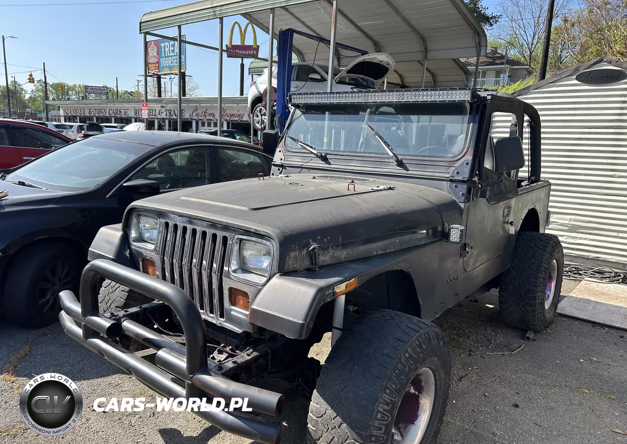 1993 Jeep Wrangler - Yj S VIN:1J4FY19P6PP256339 - 2