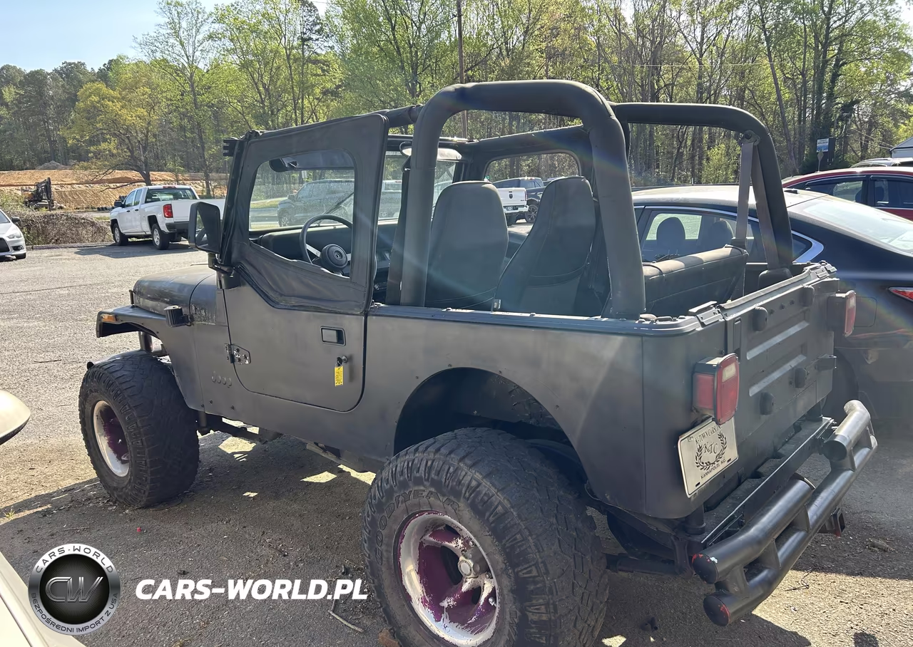 1993 Jeep Wrangler - Yj S VIN:1J4FY19P6PP256339 - 3