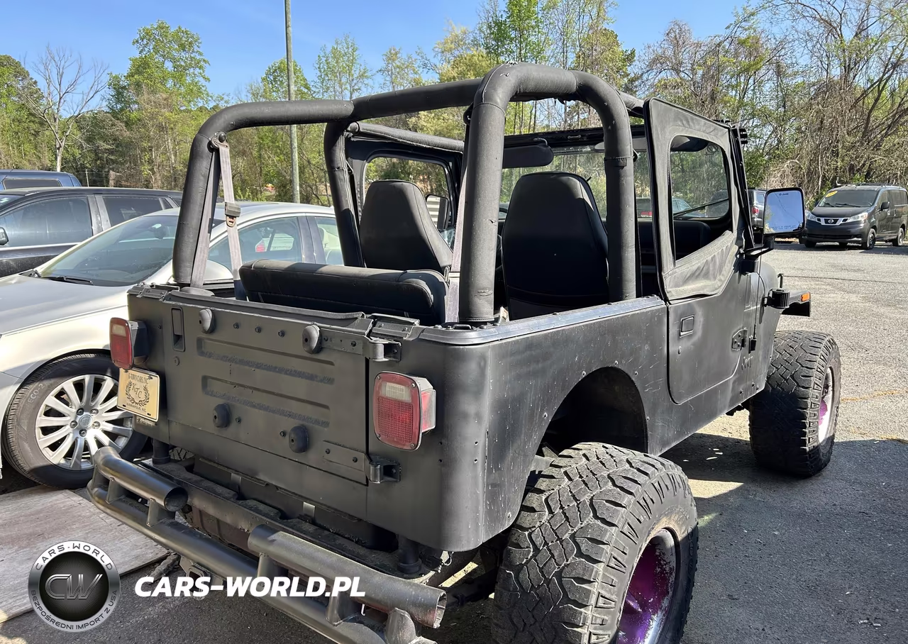 1993 Jeep Wrangler - Yj S VIN:1J4FY19P6PP256339 - 4