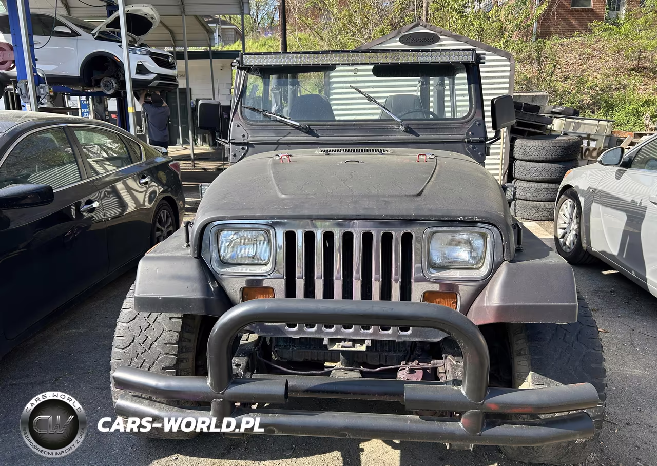 1993 Jeep Wrangler - Yj S VIN:1J4FY19P6PP256339 - 6