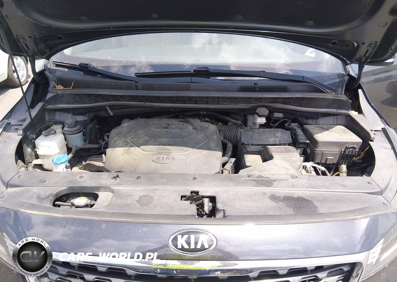 2019 Kia Sedona Lx VIN:KNDMB5C18K6549104 - 10