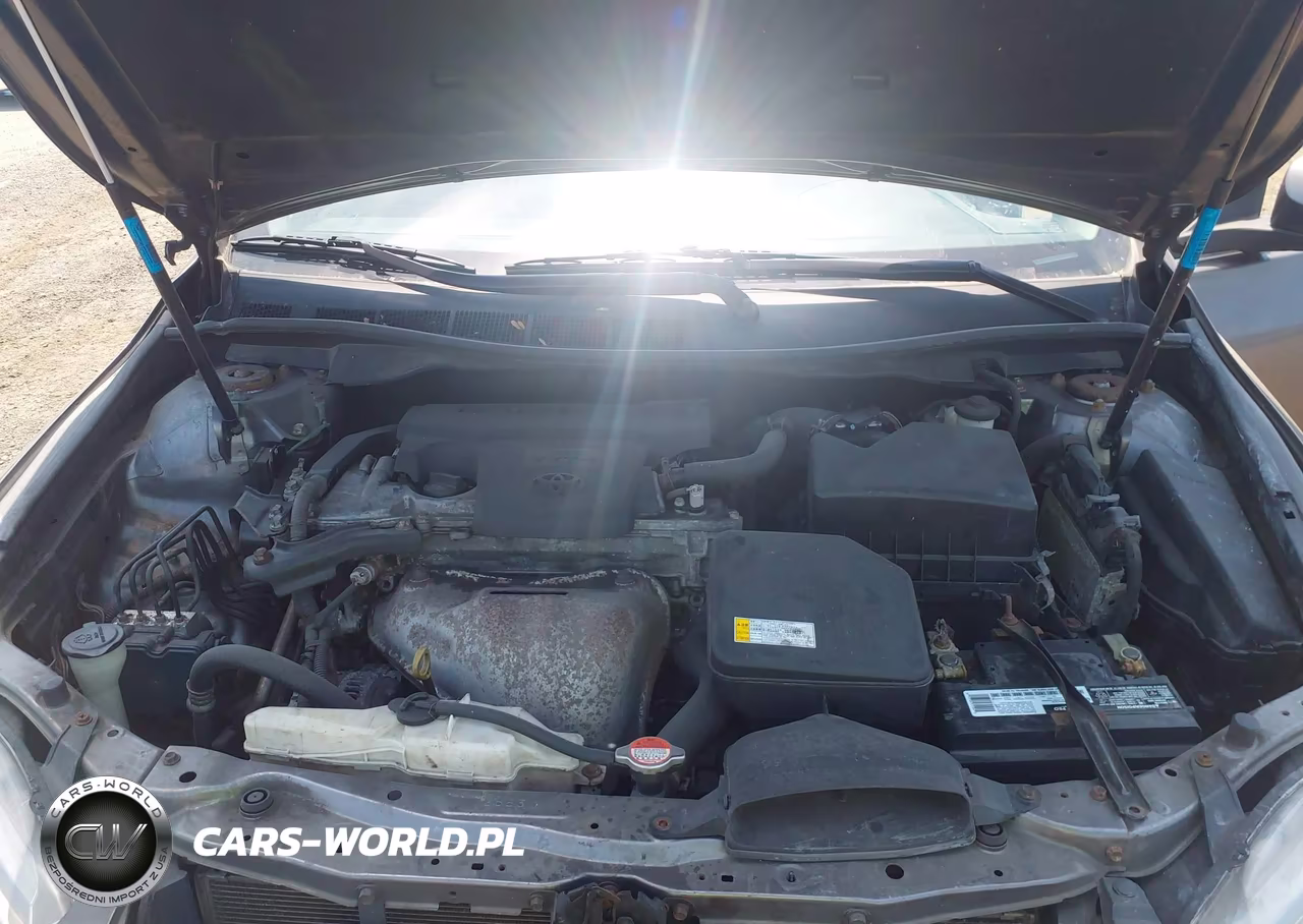 2016 Toyota Camry Le VIN:4T1BF1FK3GU174391 - 10