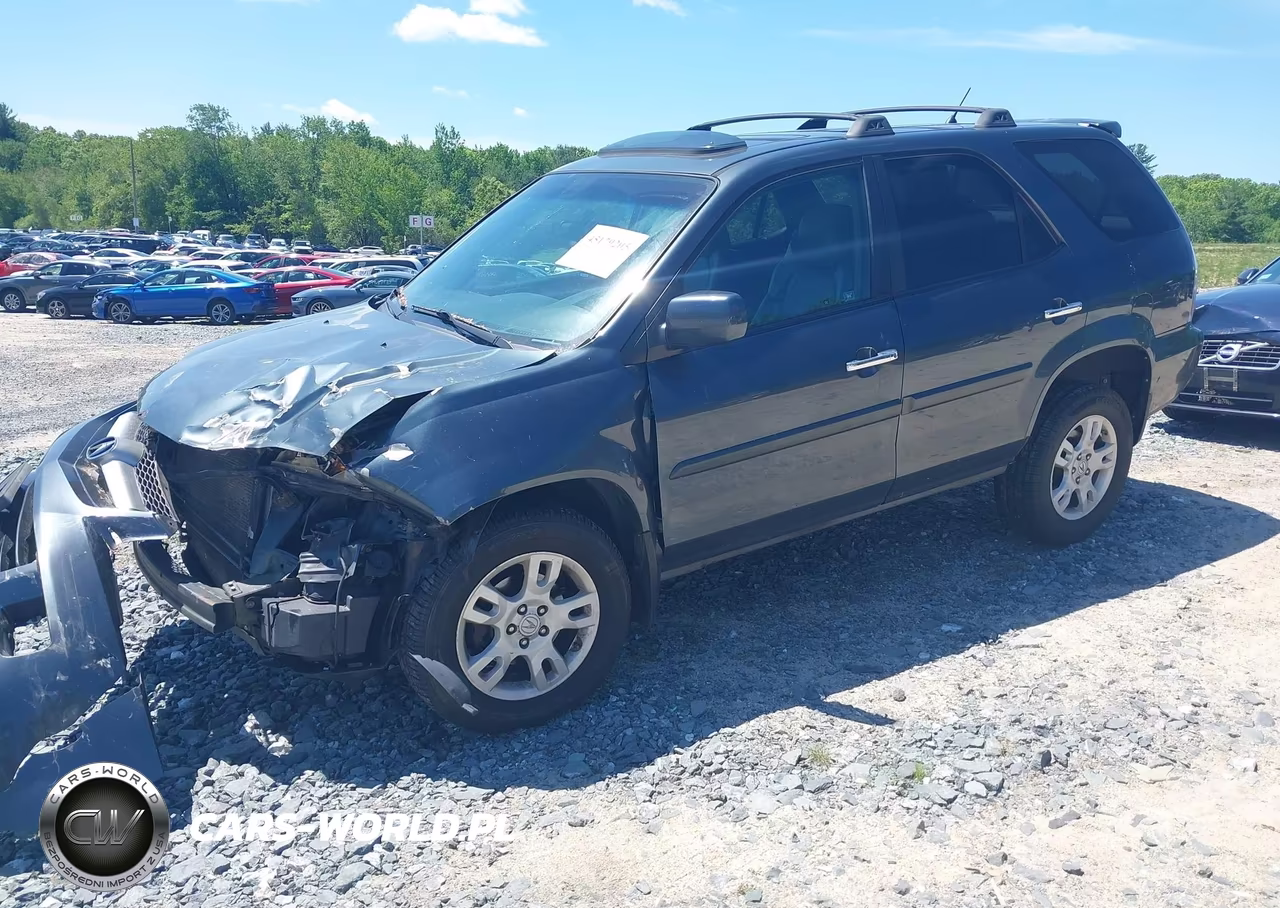 2004 Acura Mdx VIN:2HNYD18904H559253 - 2