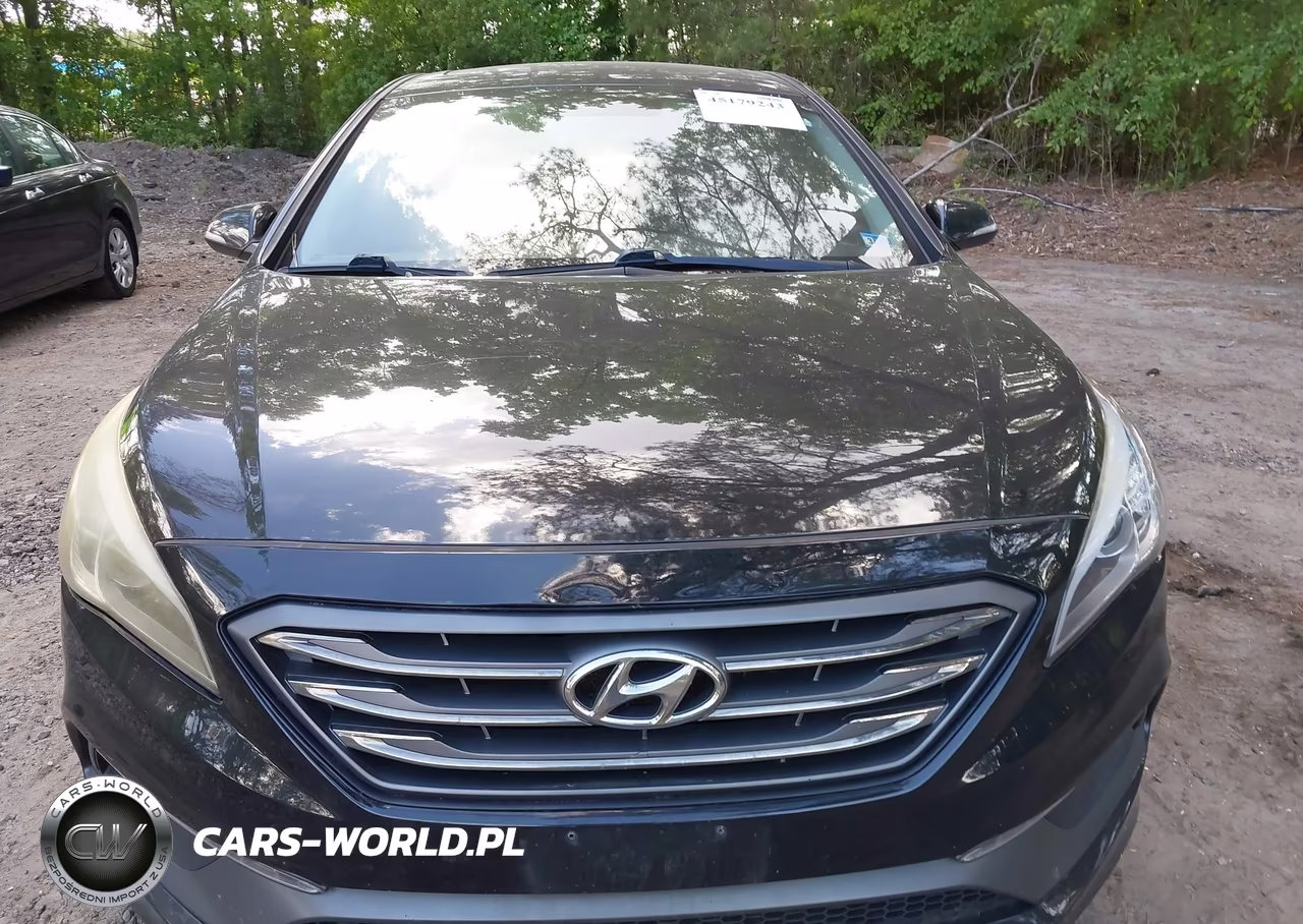 2017 Hyundai Sonata Sport VIN:5NPE34AF4HH486690 - 12