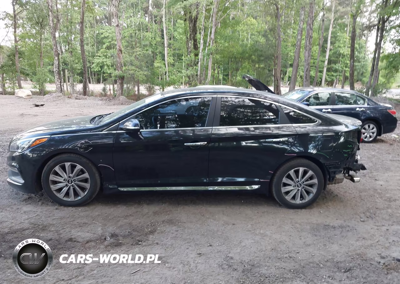2017 Hyundai Sonata Sport VIN:5NPE34AF4HH486690 - 14