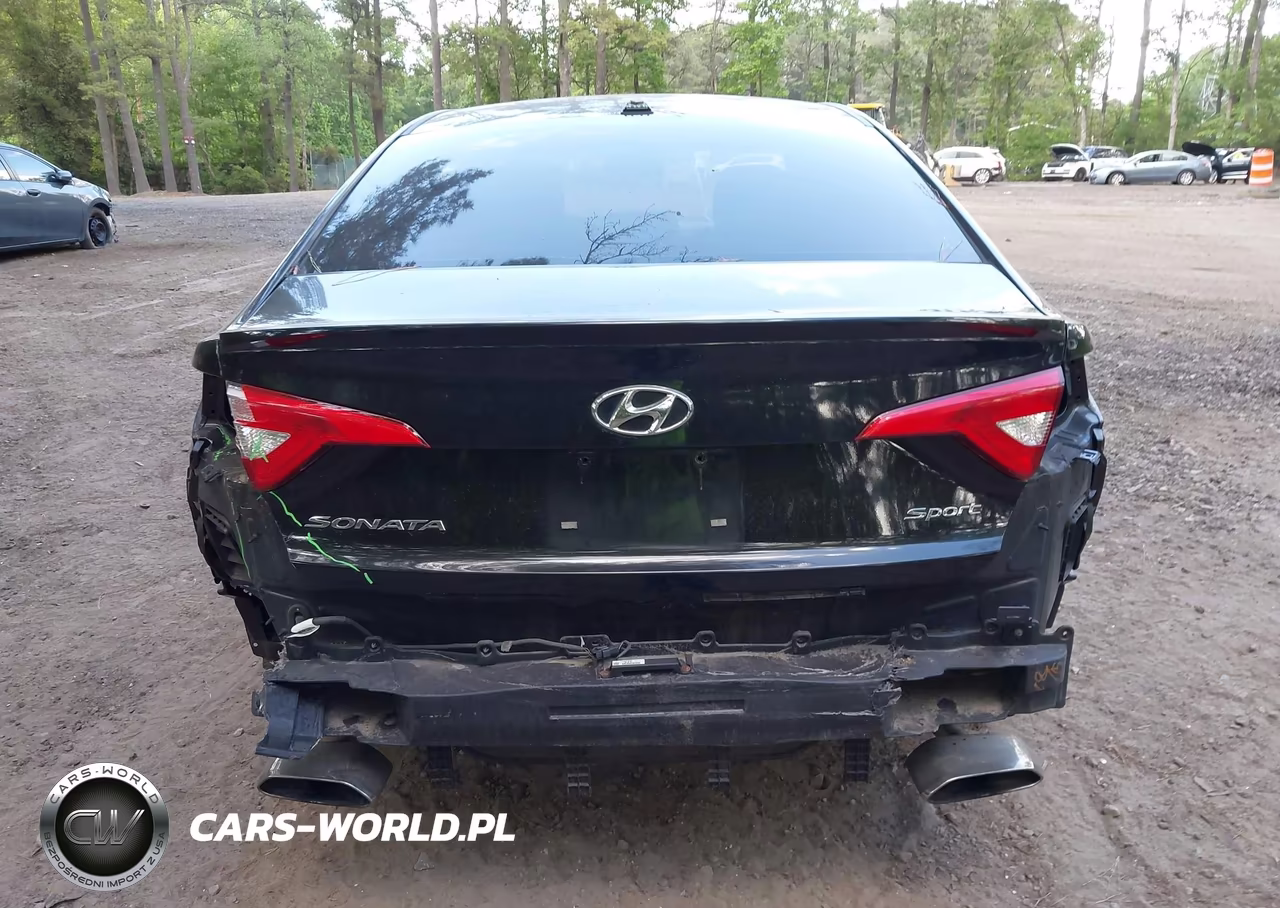 2017 Hyundai Sonata Sport VIN:5NPE34AF4HH486690 - 16