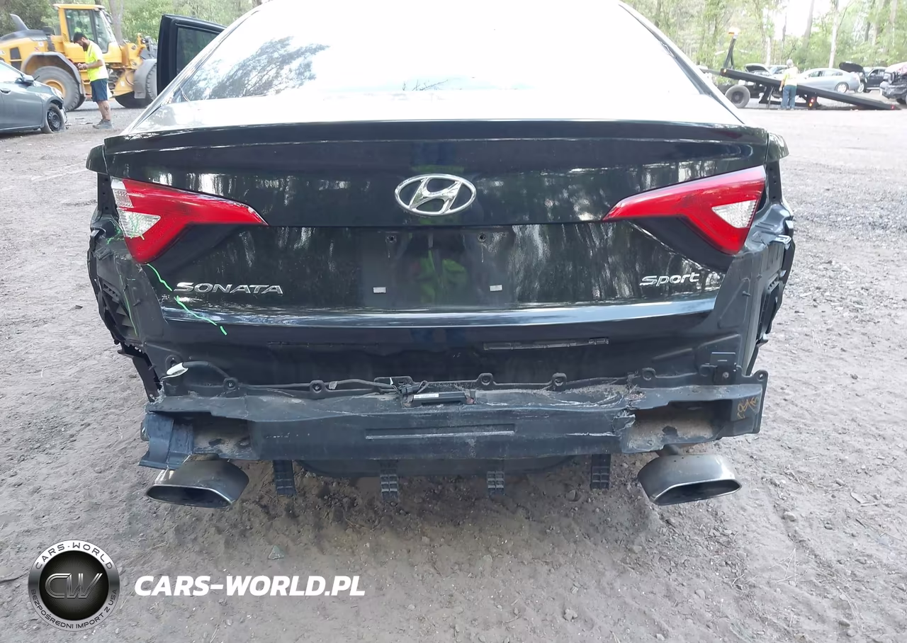 2017 Hyundai Sonata Sport VIN:5NPE34AF4HH486690 - 6