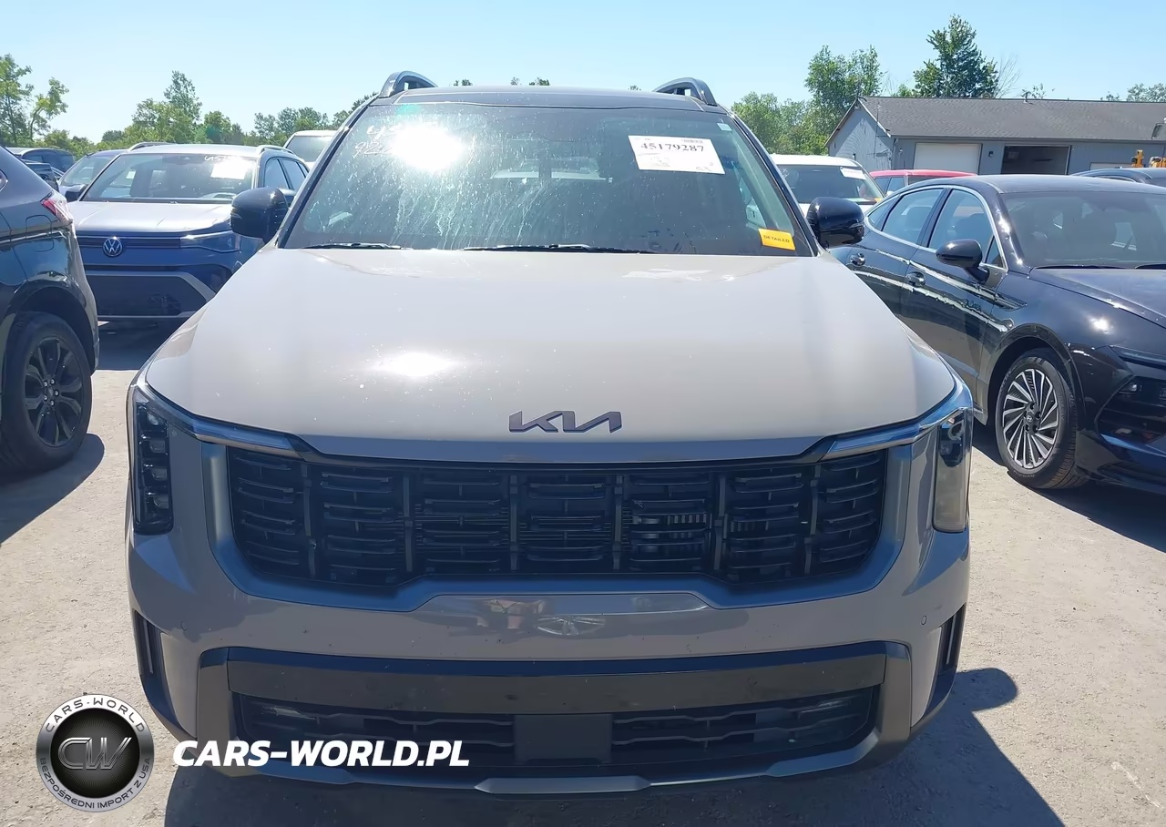 2025 Kia Sorento X-Line Ex VIN:5XYRHDJF9SG401974 - 12