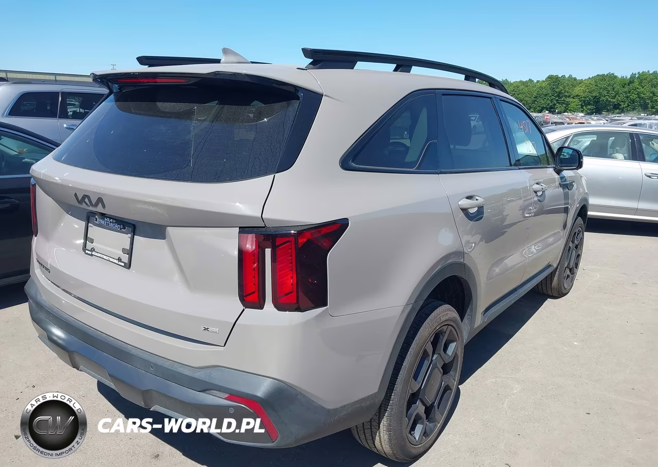 2025 Kia Sorento X-Line Ex VIN:5XYRHDJF9SG401974 - 4