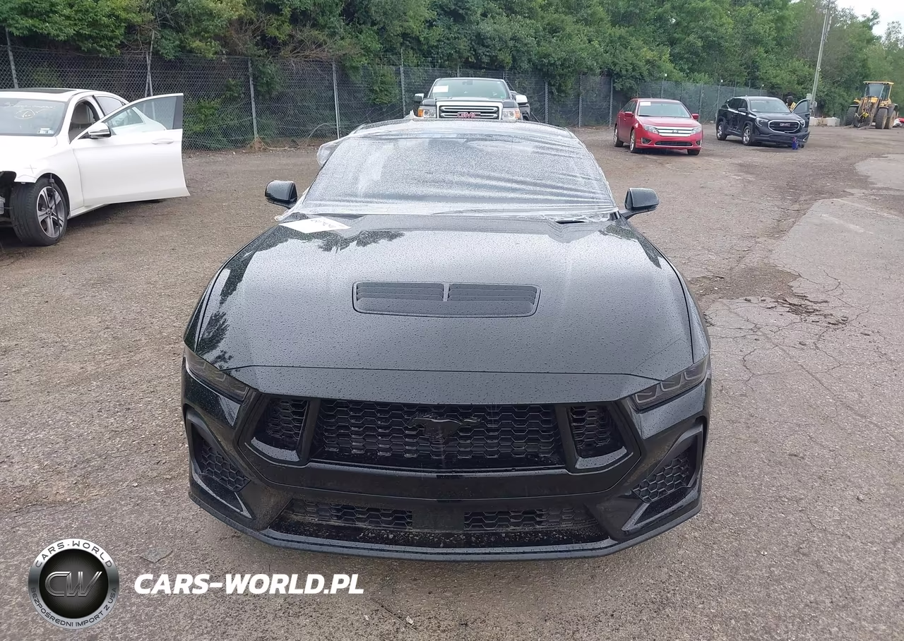 2025 Ford Mustang Gt Premium Fastback VIN:1FA6P8CF5S5415668 - 12