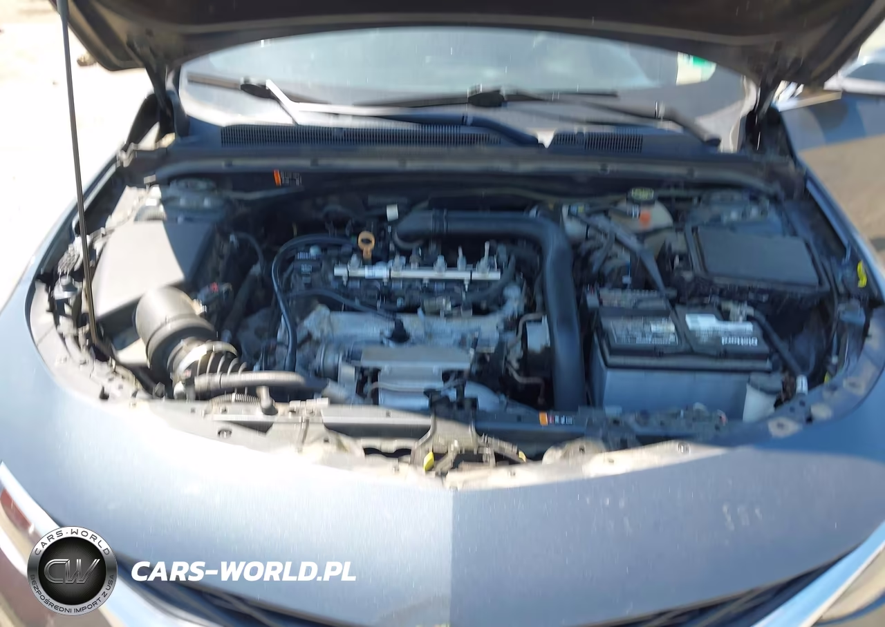 2019 Chevrolet Malibu Lt VIN:1G1ZD5ST0KF193176 - 10