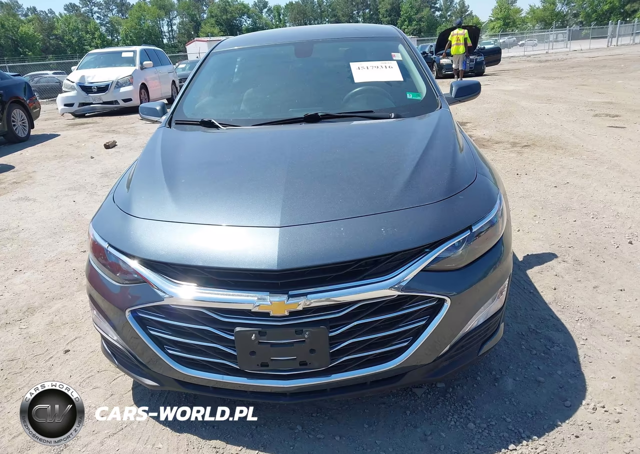 2019 Chevrolet Malibu Lt VIN:1G1ZD5ST0KF193176 - 12