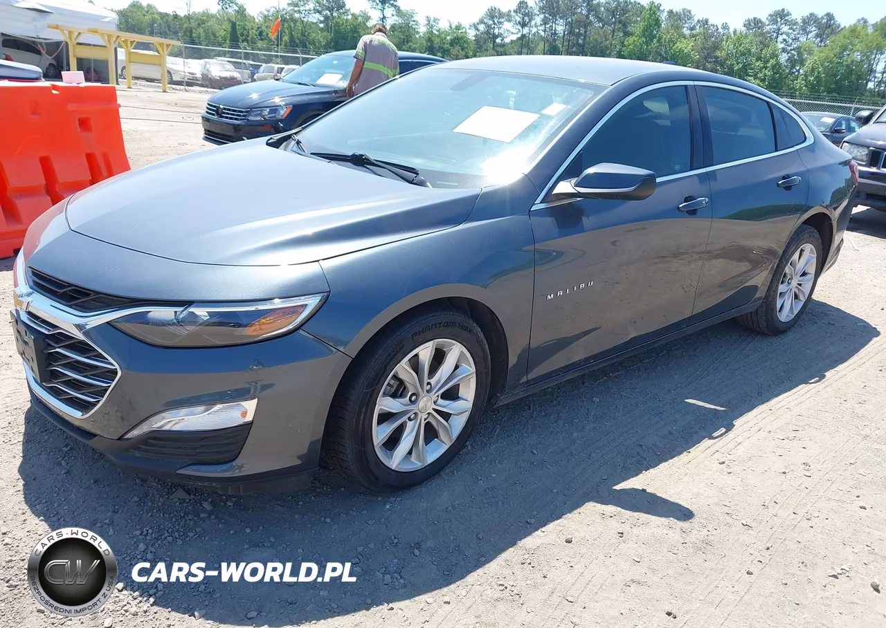 2019 Chevrolet Malibu Lt VIN:1G1ZD5ST0KF193176 - 2