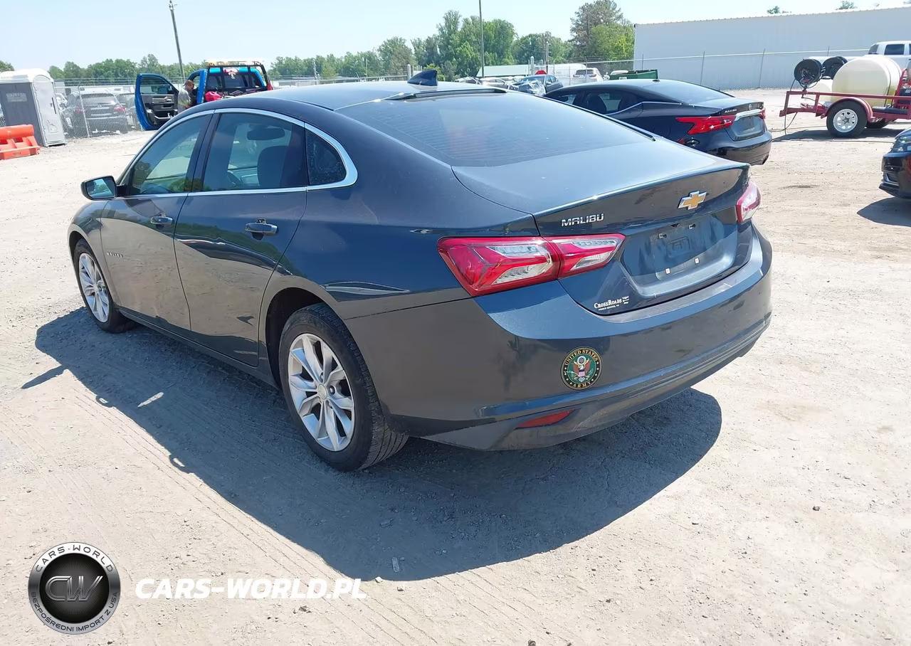 2019 Chevrolet Malibu Lt VIN:1G1ZD5ST0KF193176 - 3