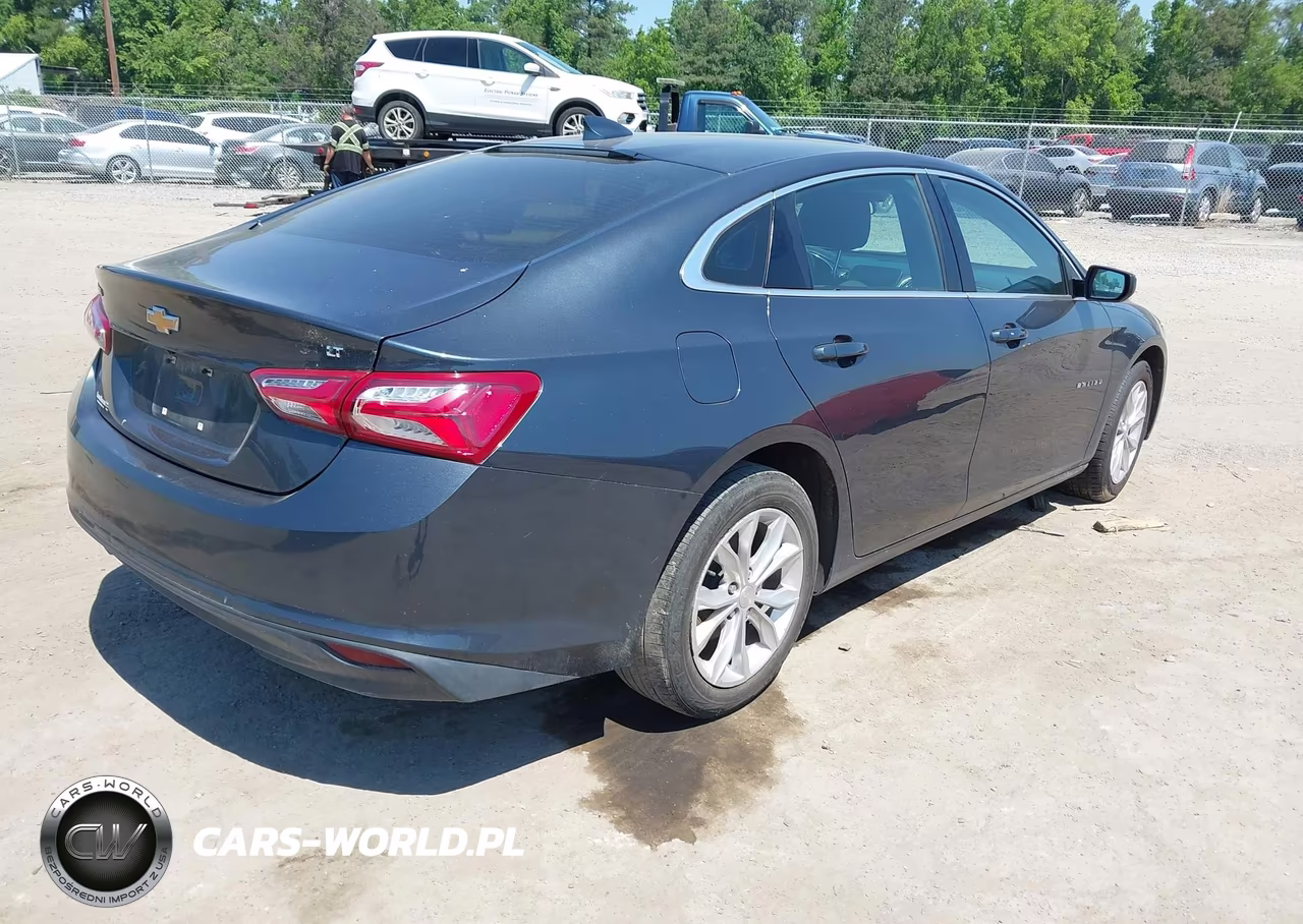 2019 Chevrolet Malibu Lt VIN:1G1ZD5ST0KF193176 - 4