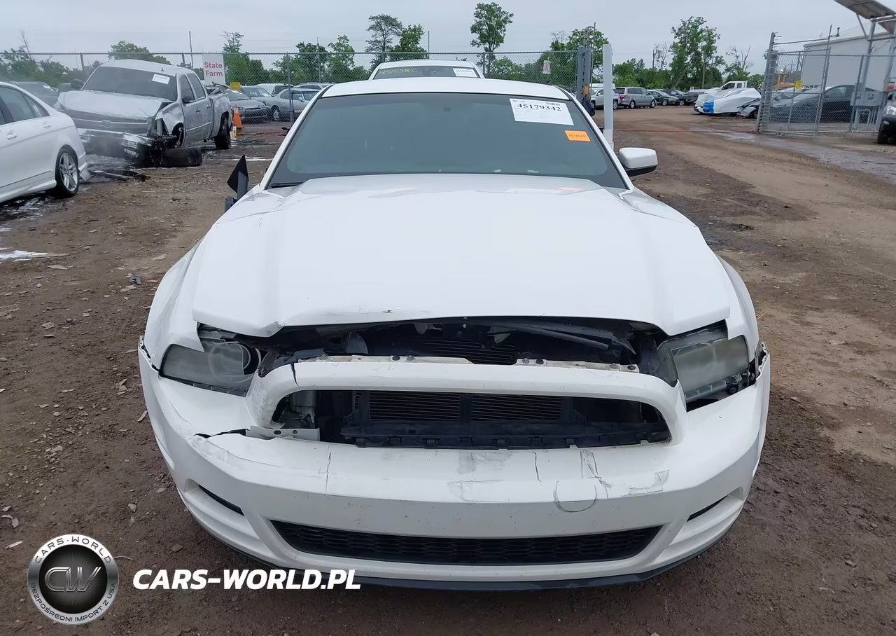 2013 Ford Mustang V6 Premium VIN:1ZVBP8AM1D5216904 - 12