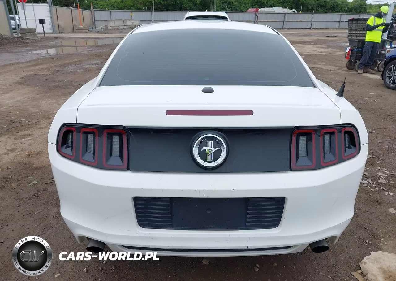 2013 Ford Mustang V6 Premium VIN:1ZVBP8AM1D5216904 - 16