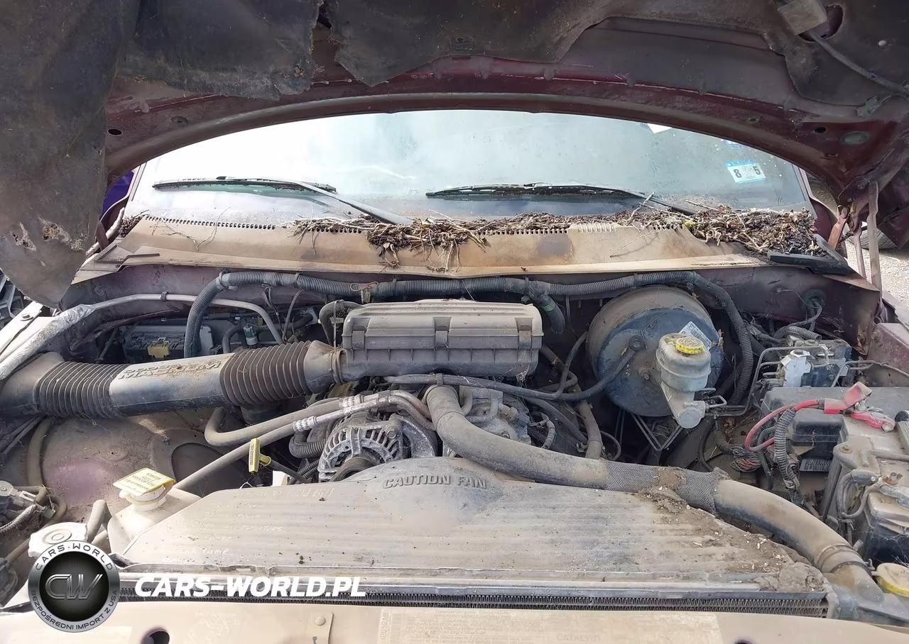 2001 Dodge Ram 1500 St VIN:3B7HC13Y61M548648 - 10