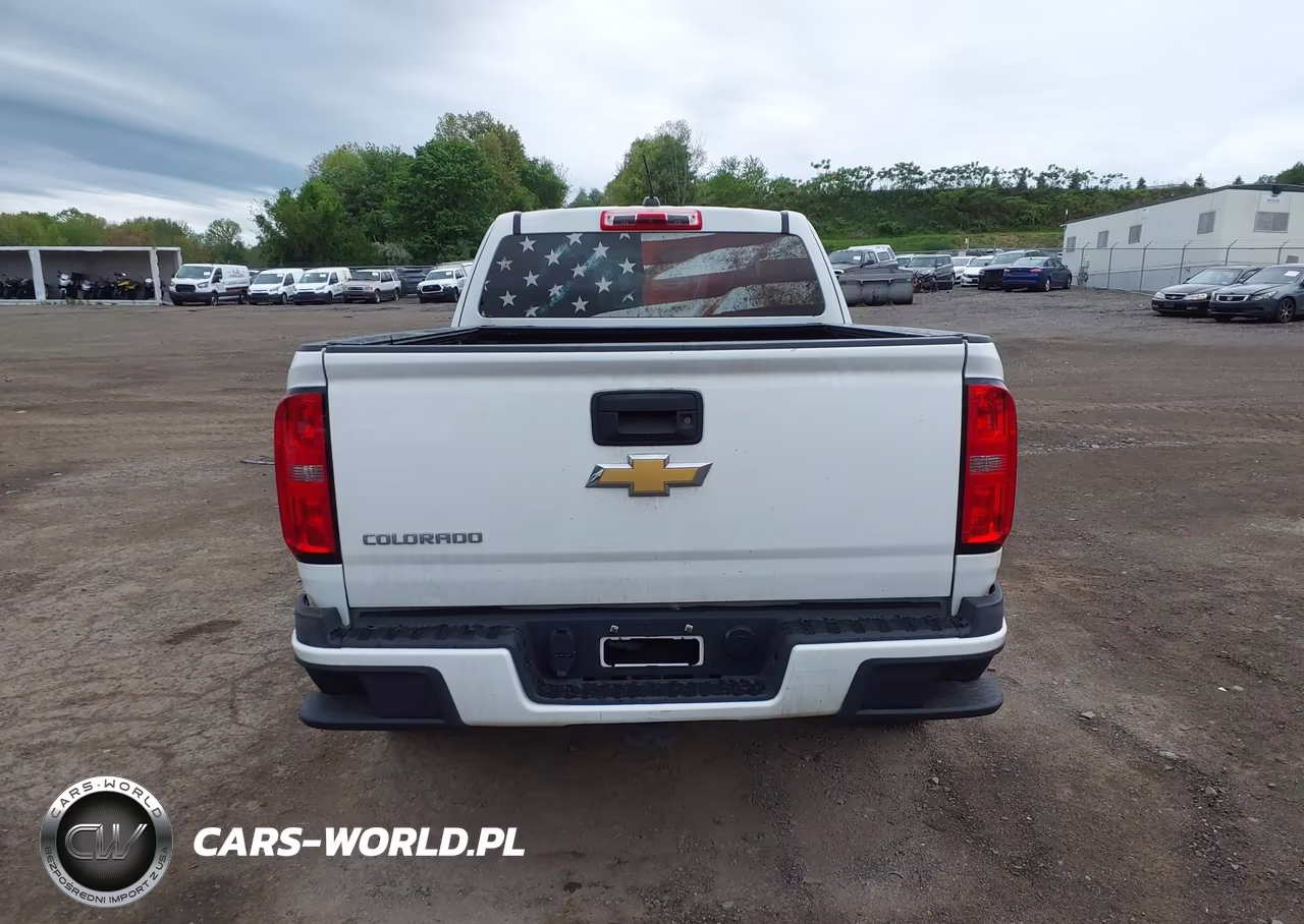 2019 Chevrolet Colorado Wt VIN:1GCHTBEA6K1138906 - 17