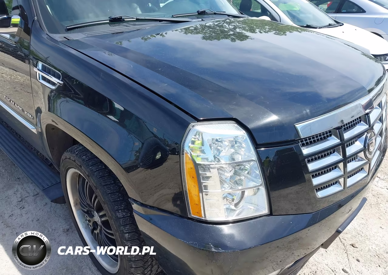 2011 Cadillac Escalade Esv Premium VIN:1GYS4JEF5BR353911 - 6