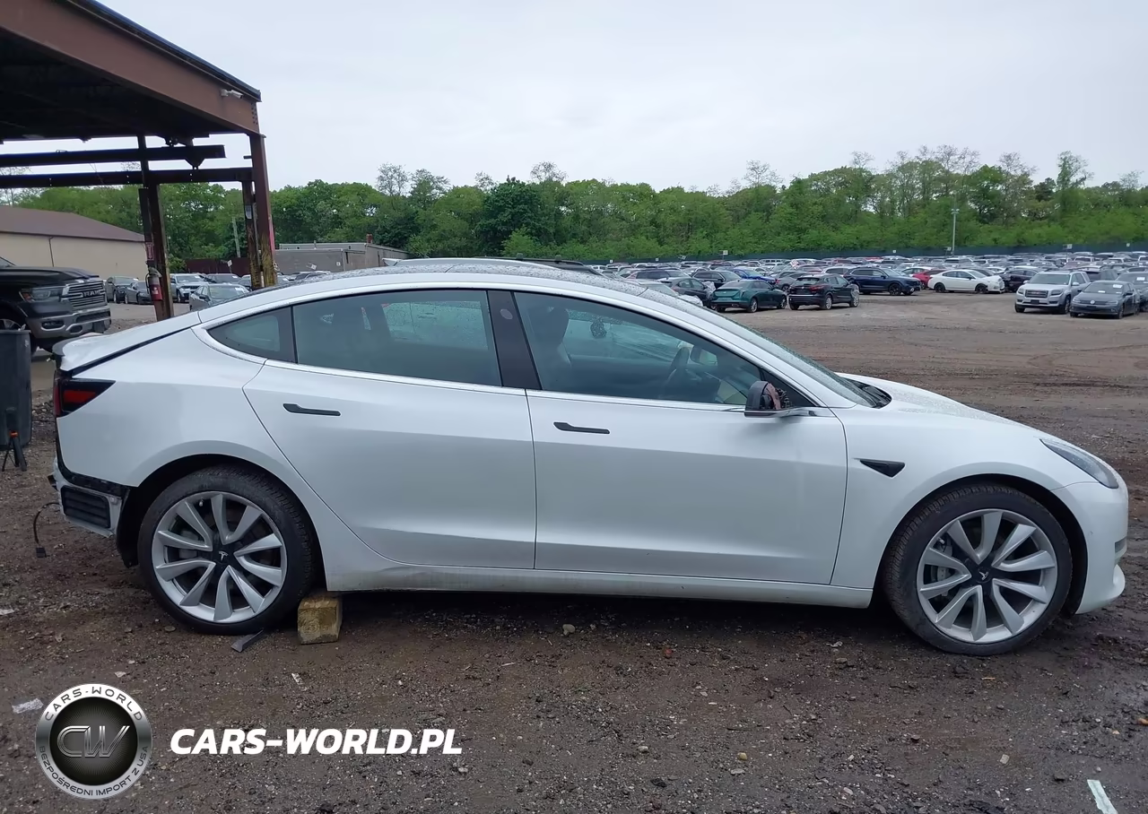 2020 Tesla Model 3 Long Range Dual Motor All-Wheel Drive VIN:5YJ3E1EB8LF667550 - 12