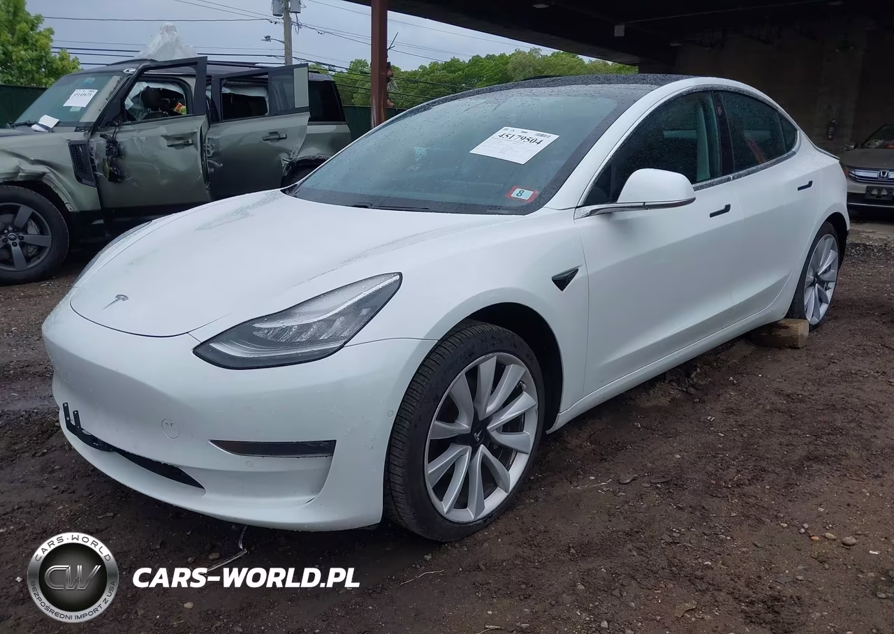 2020 Tesla Model 3 Long Range Dual Motor All-Wheel Drive VIN:5YJ3E1EB8LF667550 - 2