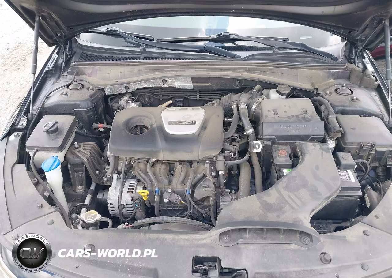 2019 Kia Optima Ex VIN:5XXGU4L16KG333948 - 10