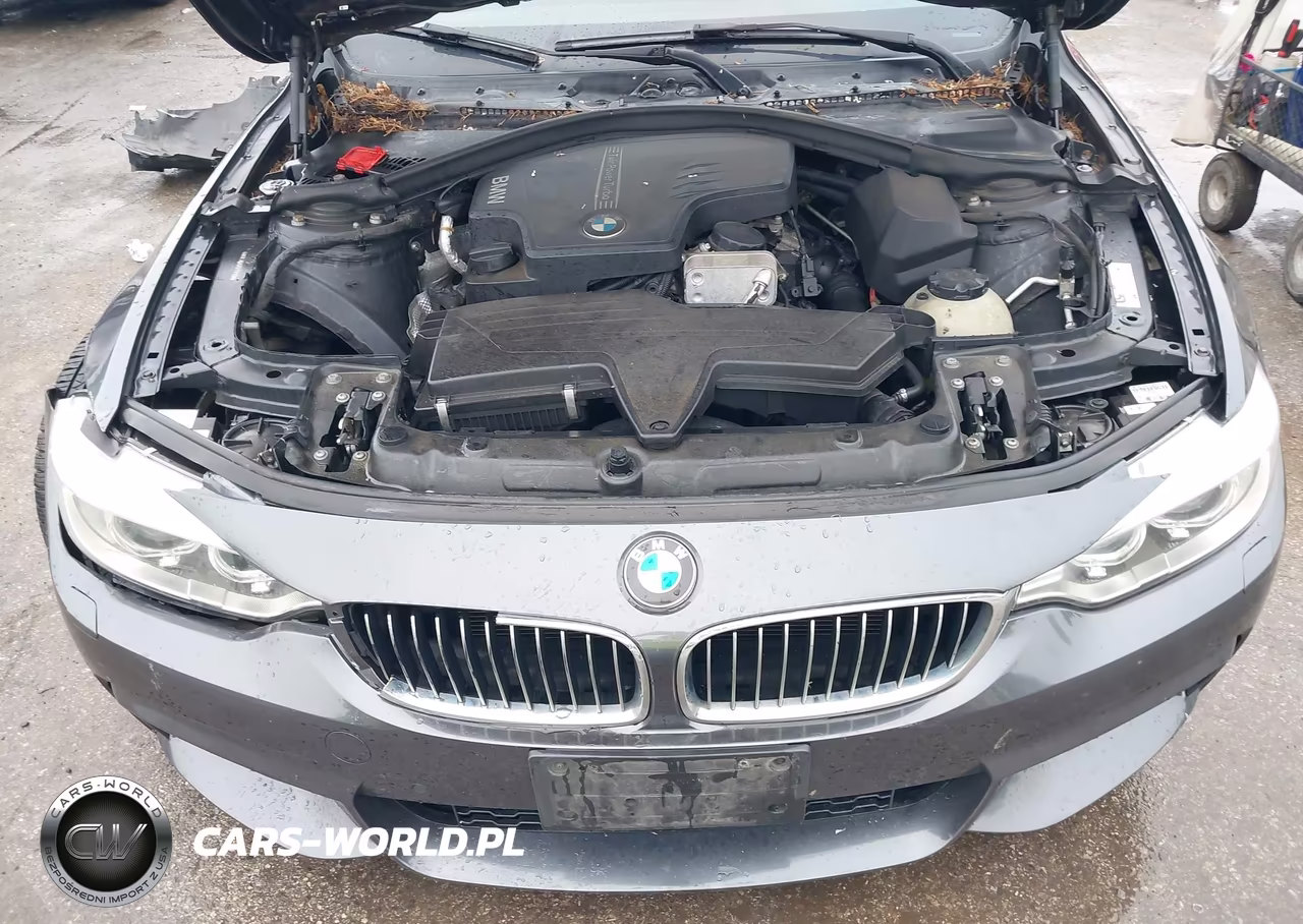 2014 BMW 428I xDrive VIN:WBA3N5C57EF717130 - 10