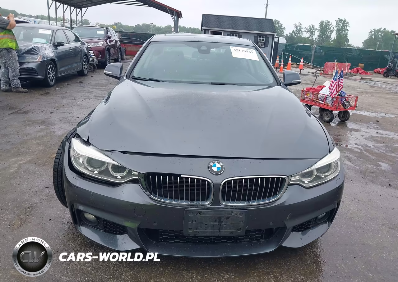 2014 BMW 428I xDrive VIN:WBA3N5C57EF717130 - 13