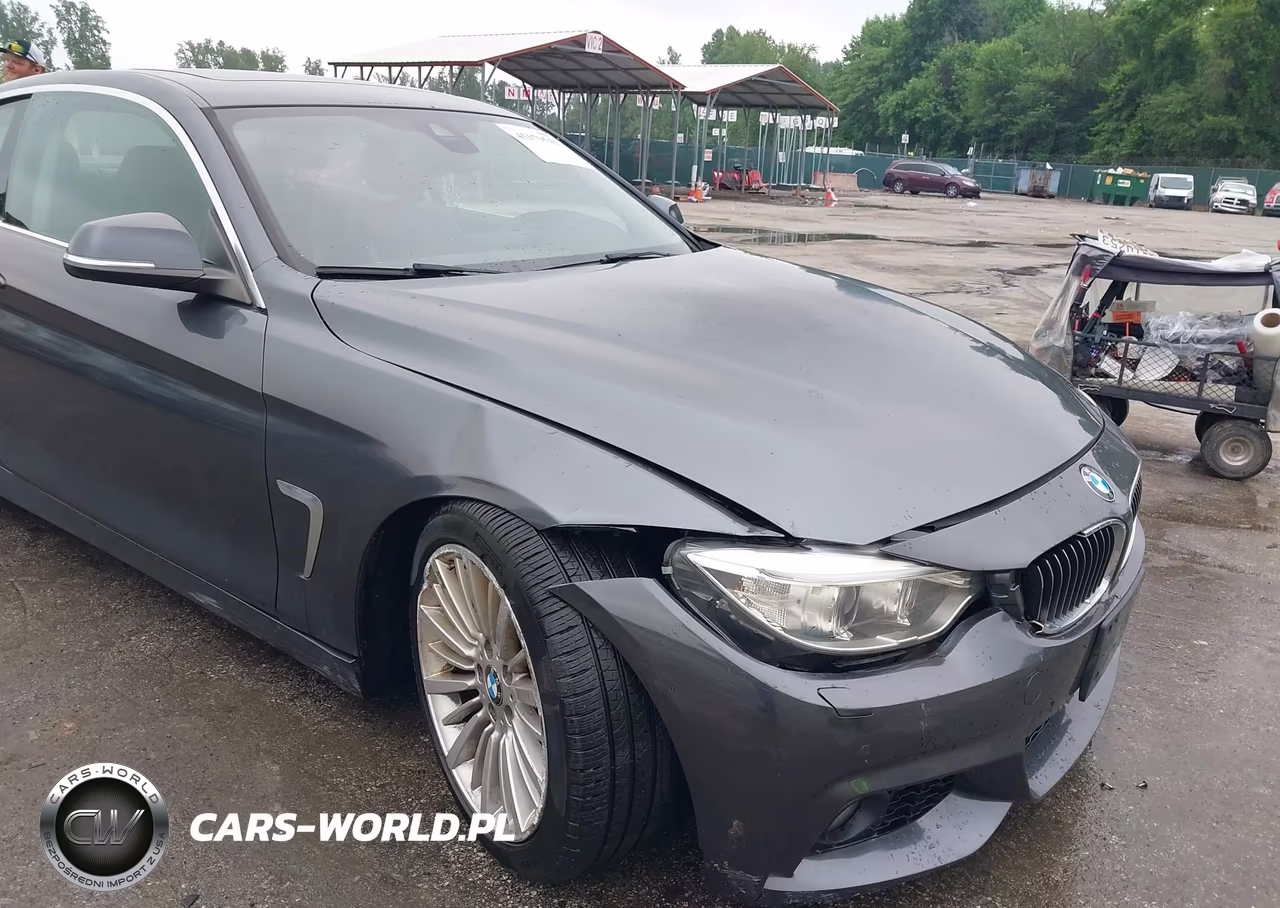2014 BMW 428I xDrive VIN:WBA3N5C57EF717130 - 18