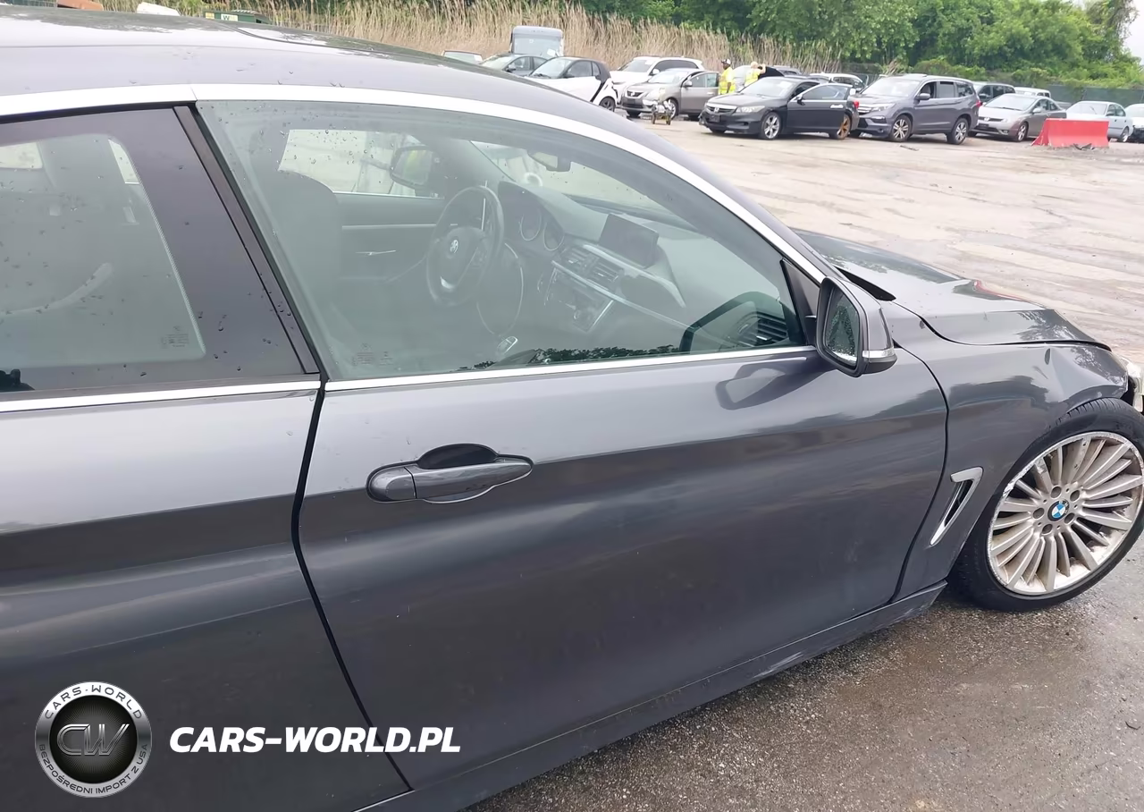 2014 BMW 428I xDrive VIN:WBA3N5C57EF717130 - 19