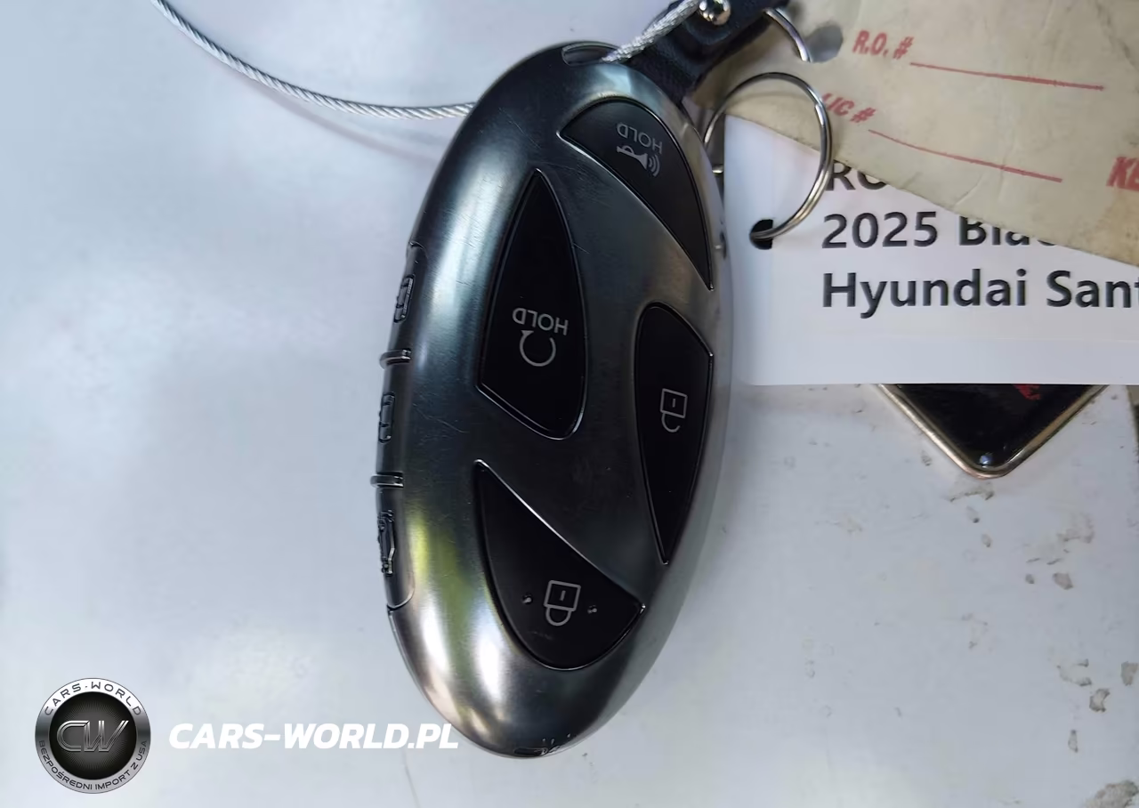 2025 Hyundai Santa Fe Calligraphy VIN:5NMP5DGL4SH095026 - 11