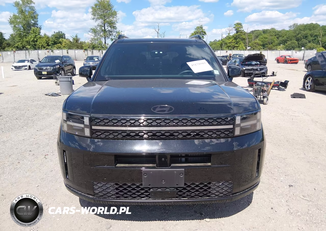 2025 Hyundai Santa Fe Calligraphy VIN:5NMP5DGL4SH095026 - 13