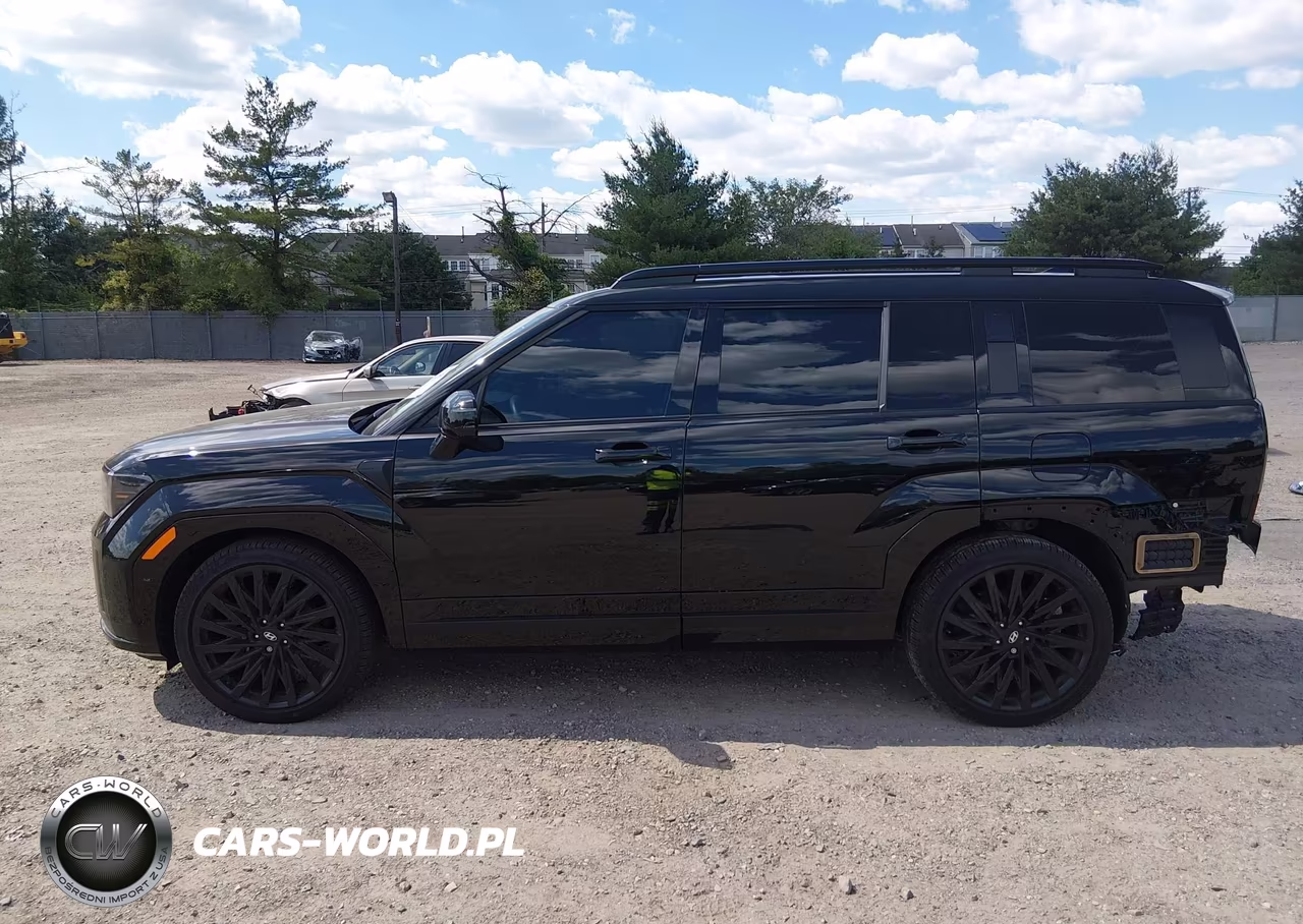 2025 Hyundai Santa Fe Calligraphy VIN:5NMP5DGL4SH095026 - 15