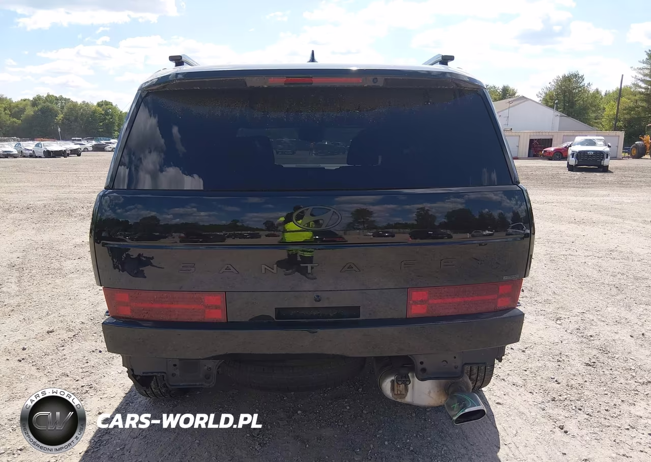2025 Hyundai Santa Fe Calligraphy VIN:5NMP5DGL4SH095026 - 17
