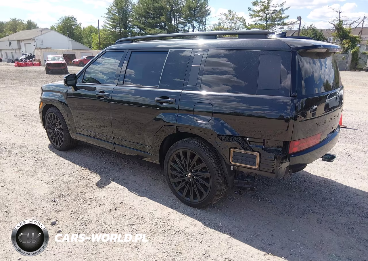 2025 Hyundai Santa Fe Calligraphy VIN:5NMP5DGL4SH095026 - 3