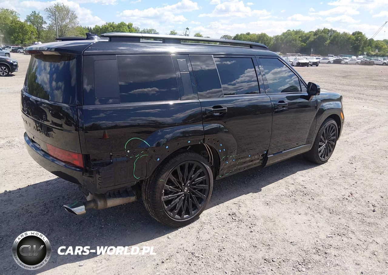 2025 Hyundai Santa Fe Calligraphy VIN:5NMP5DGL4SH095026 - 4