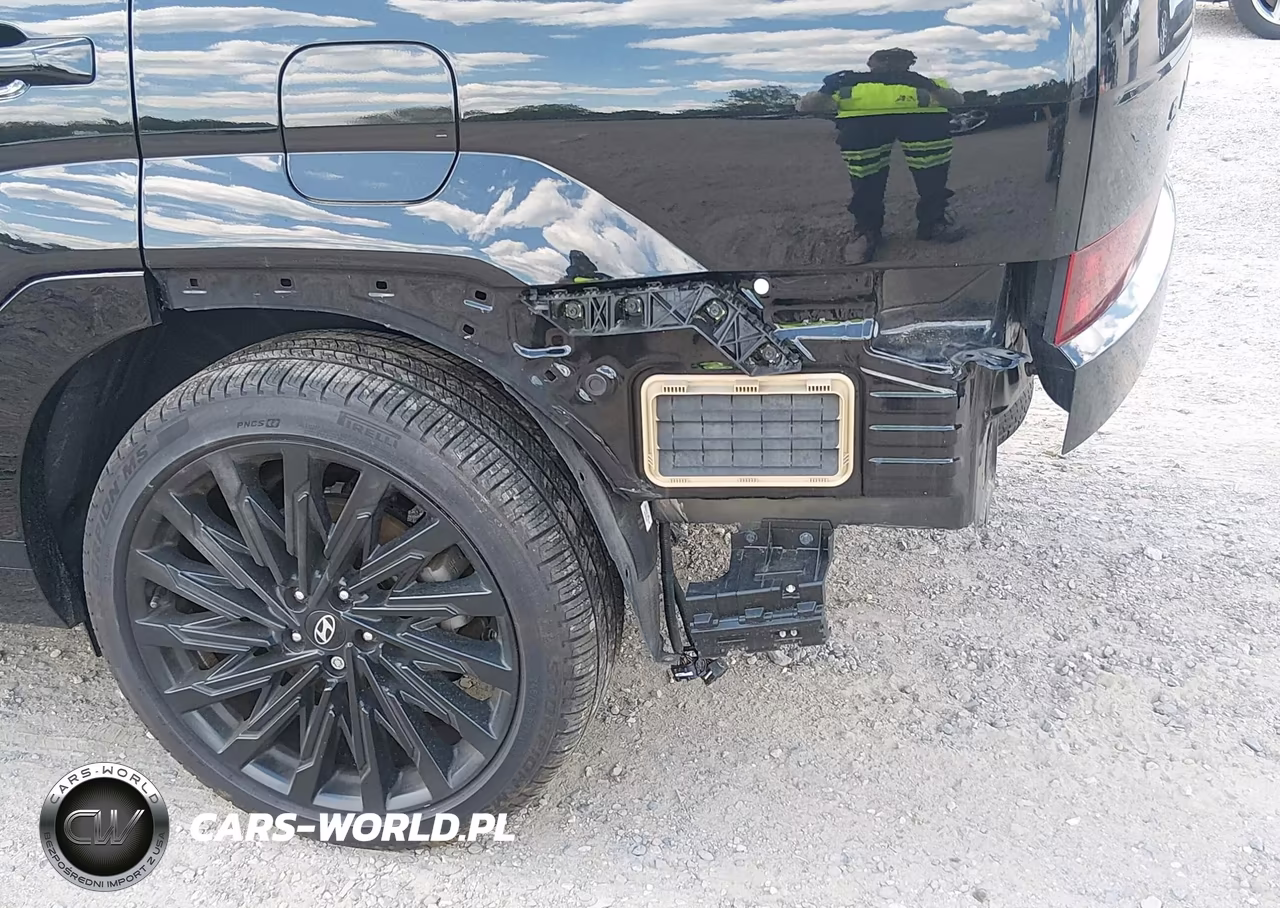 2025 Hyundai Santa Fe Calligraphy VIN:5NMP5DGL4SH095026 - 6