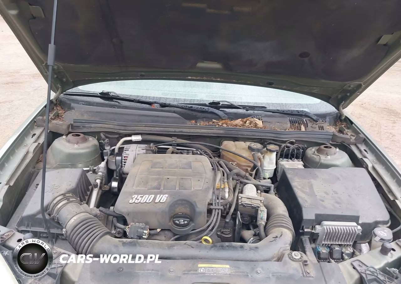 2005 Chevrolet Malibu Ls VIN:1G1ZT54865F207677 - 10
