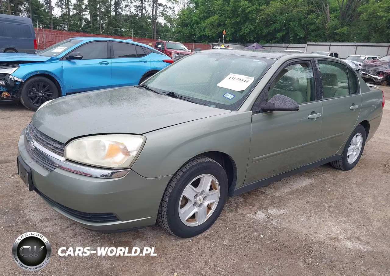2005 Chevrolet Malibu Ls VIN:1G1ZT54865F207677 - 2