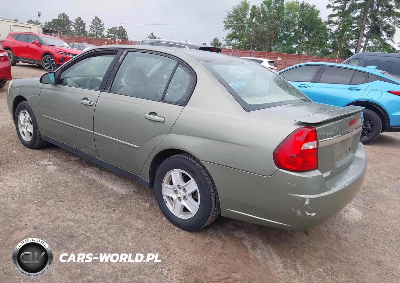 2005 Chevrolet Malibu Ls VIN:1G1ZT54865F207677 - 3