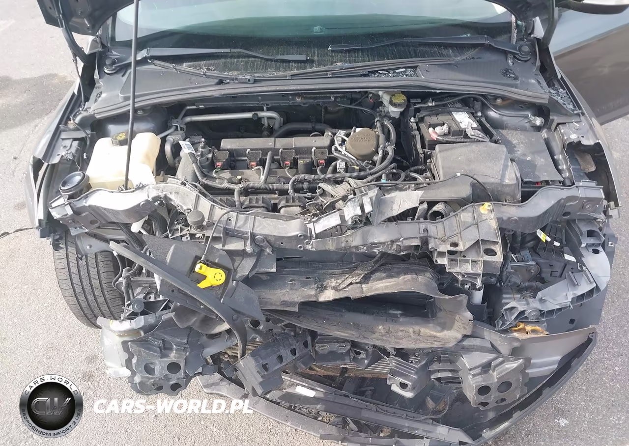 2015 Ford Focus Se VIN:1FADP3F24FL209620 - 10