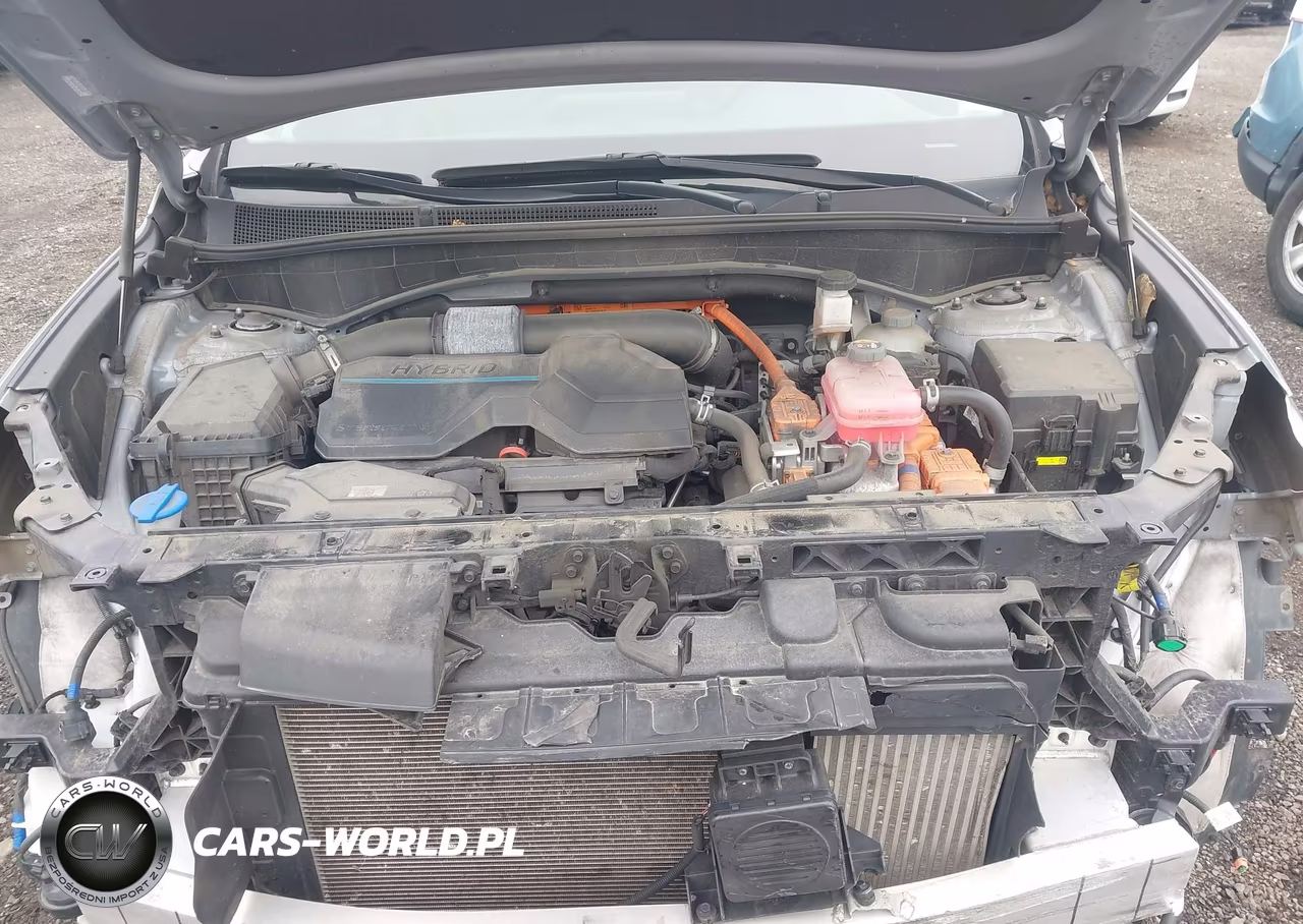 2021 Hyundai Santa Fe Hybrid Sel Premium VIN:KM8S3DA1XMU010883 - 10